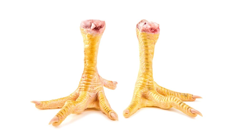 Benefits of chicken feet for dogs
